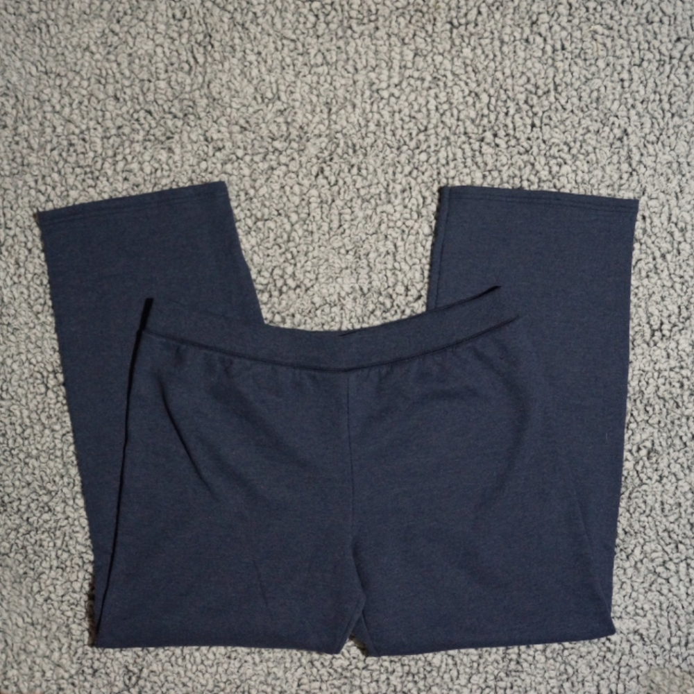 Blue Hanes ComfortBlend Sweats Large